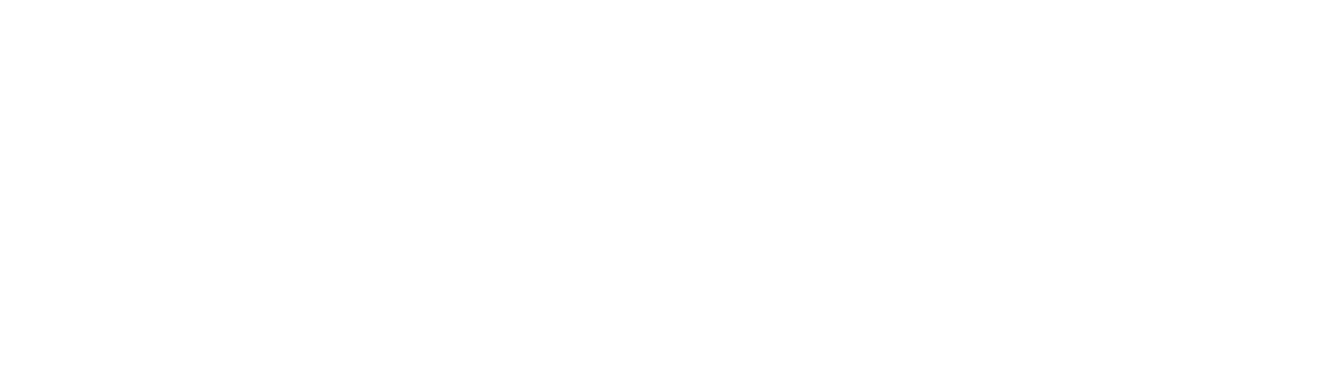Capstone_Home_Logo_WHITE